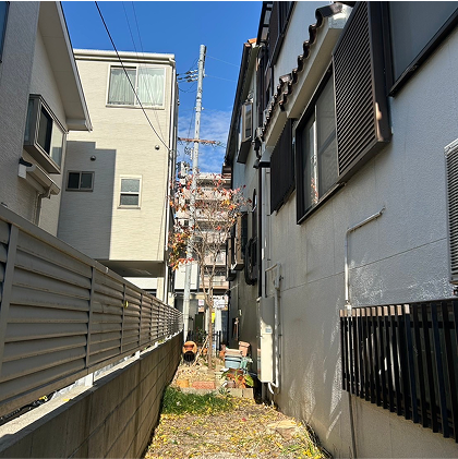 伐採・伐根後