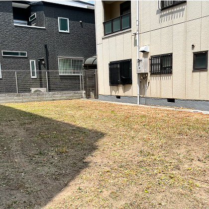 草刈・草抜き・ツタ取り後