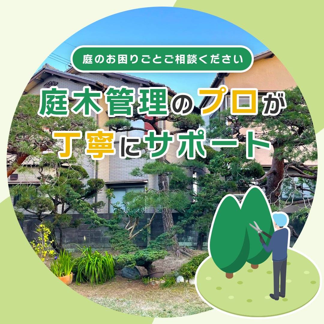 popup_banner