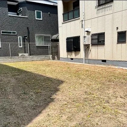 草刈・草抜き・ツタ取り