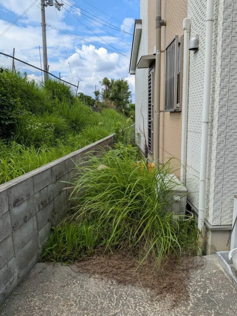 草刈り・草抜き