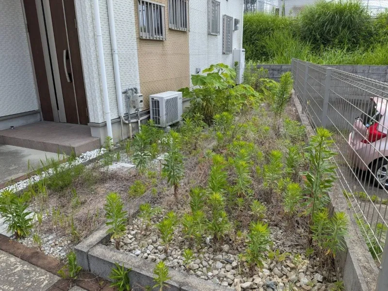 草刈り・草抜き