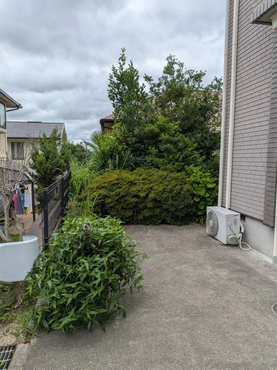 木の剪定や伐採でお困りではありませんか?