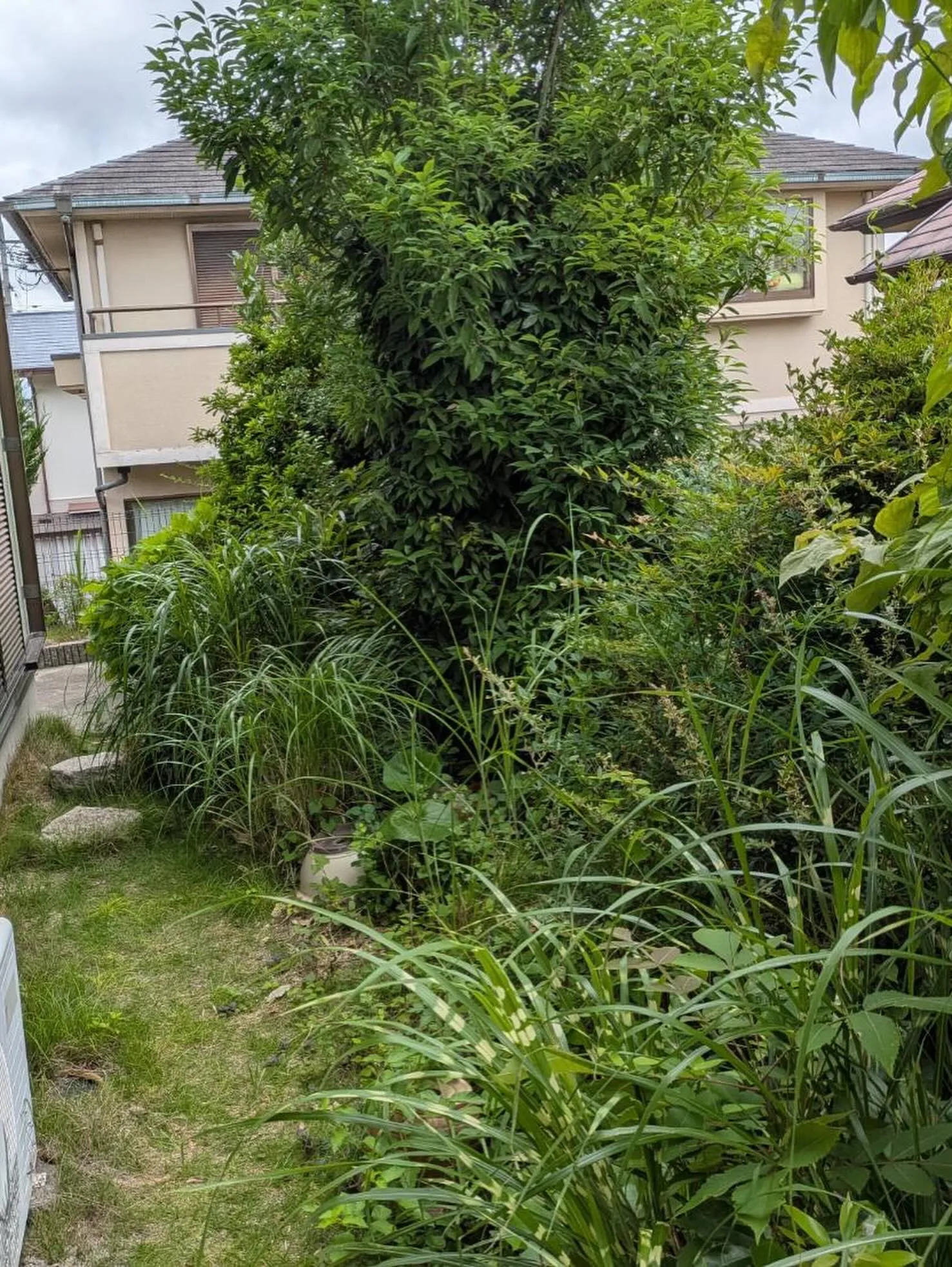 木の剪定や伐採でお困りではありませんか?